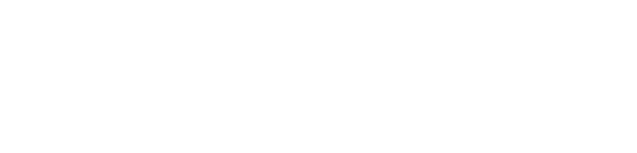 Junior Sales Academy